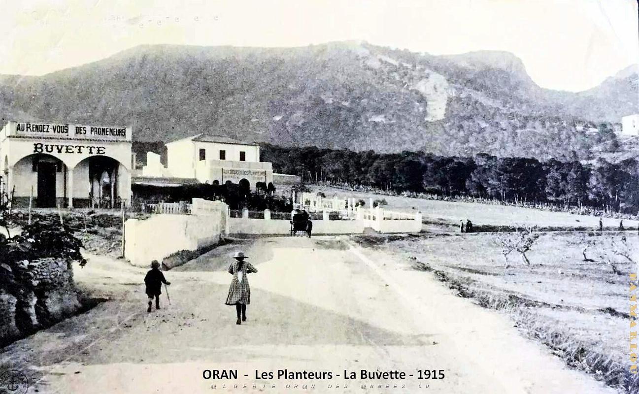Oran - Planteurs - Buvette - 1915.jpg